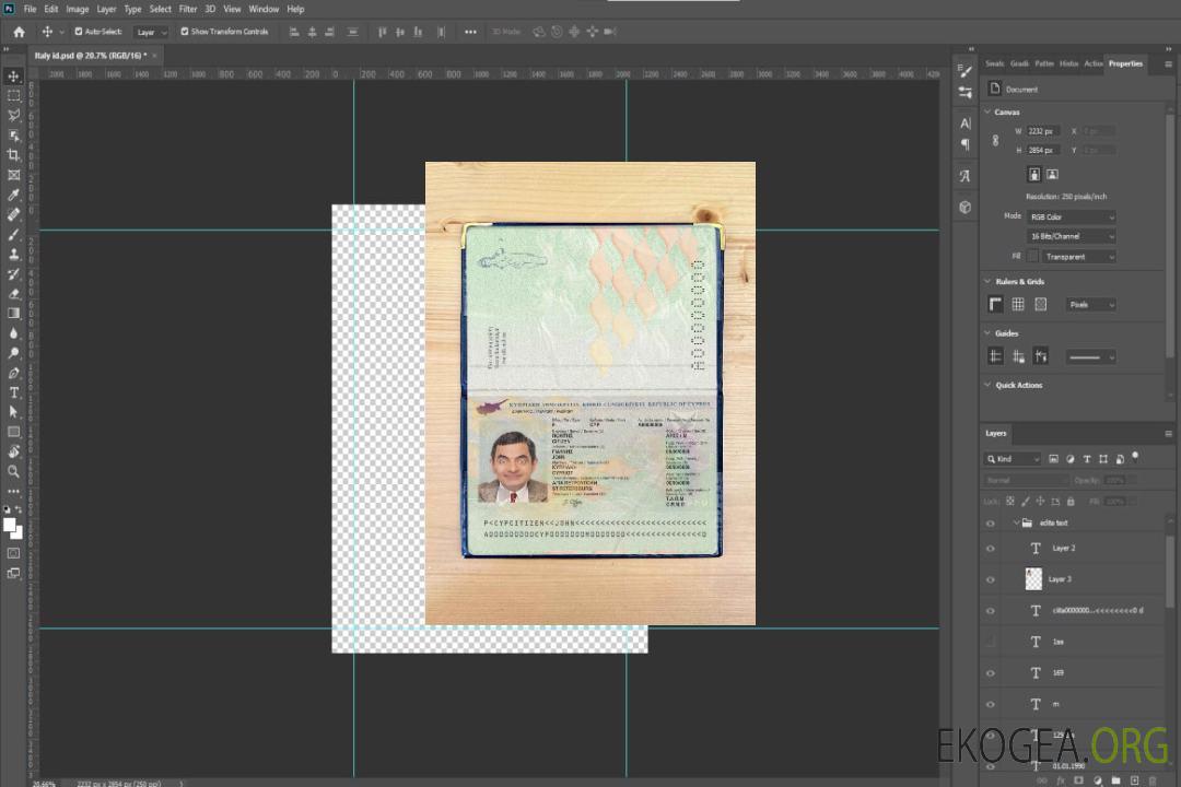 Look de photo de passeport chypriote template